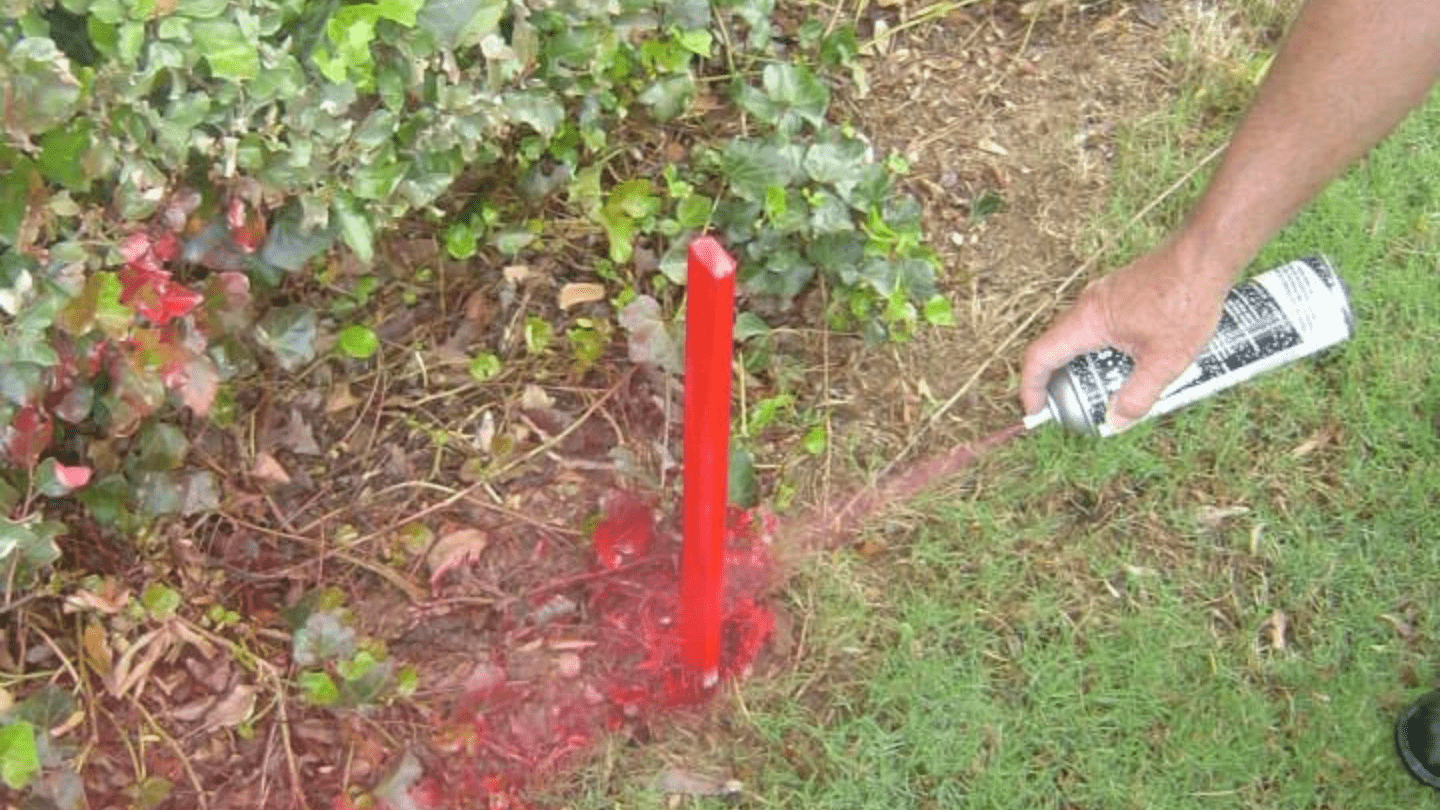 Types of Coatings: Choosing the Right Paint for Your Surfaces