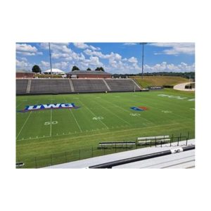 Application Of Green Turf Dye Pigment To College University Grass Fields
