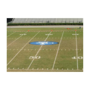 Least expensive good performance football field logo painting paint.