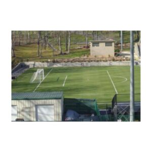 Soccer field marking painting