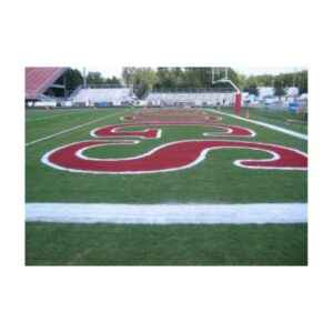 Colors of athletic field paint.