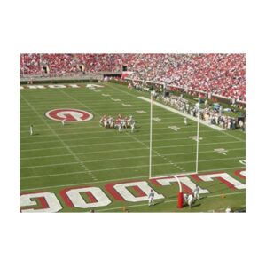 Extra bright football field marking paint.