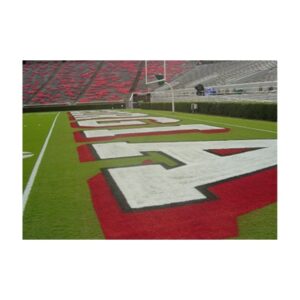 Bright white colors college football field paint.
