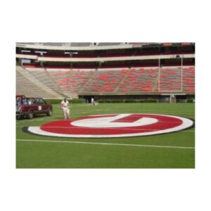 Best bright college field lining line marking paint.