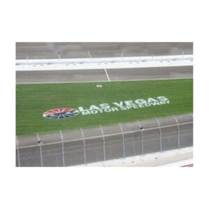 Bright field natural grass paint.