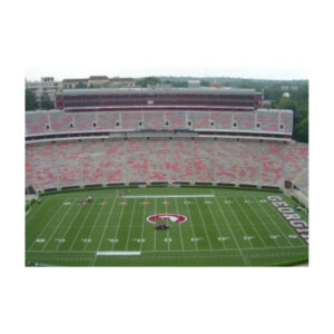 Brightly Painted Sports Field In A Full Stadium View