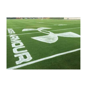 Freshly Painted Handicap Logo Using Aquastripe 5B On Turf