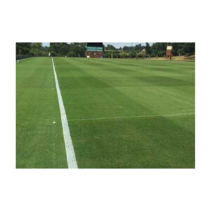 Freshly Painted White Sideline On Green Sports Turf