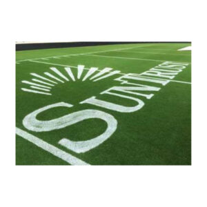 White Athletic Field Stencil Text "Southern" Painted On Green Turf