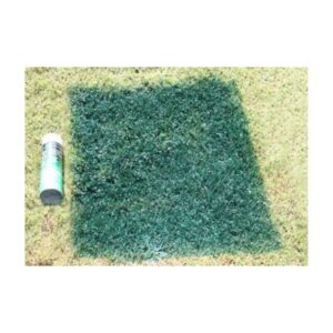 Augusta Green Grass Turf Lawn Golf Course Green Damage Grass Cover Up Paint.