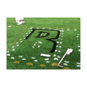 Painting Custom Logo Baseball Field.