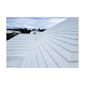Eco Friendly Roof Coating White Painting Application