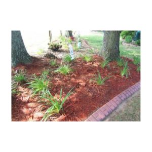 Landscaped Garden Area With Red Mulch And Plants