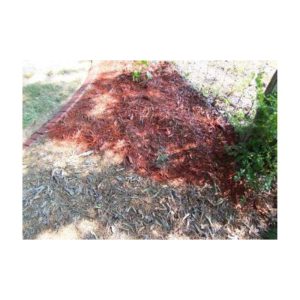 Mulch Bedding Around Landscaped Plants