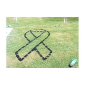 Ribbon Outline Painted On Natural Grass Or Synthetic Turf.
