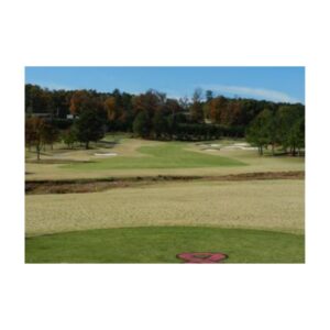 Brown Dormant Golf Course Grass Painted Green Turf Dye Grass Colorant.