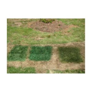 Colors Shades Of Green Turf Dye Paint Colorant.