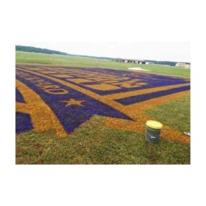 Corporate Logo Stencil Painted In Purple And Gold On Grass