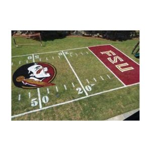 Sports Logo Stencil Painted On Football Field With Red Background