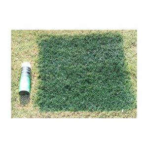 Cover Up Green For Natural Grass Synthetic Turf Yard Lawn Golf Greens.