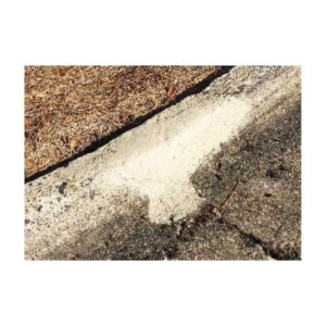 Repaired Concrete Curb Section With Visible Patch Area