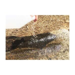 Hardening Curing Of Patch When Water Is Poured.