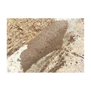 Properly Compacted Formed Shaped Curb Patches.