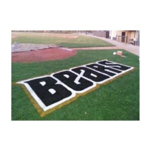 Finished permanent logo on synthetic turf with aerosol paint colors.