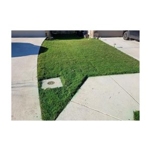 Easy To Use Green Colorant Premium Color Lower Price Than Endurant Pigment