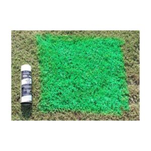 Florescent Green Grass Turf Aerosol Paint.
