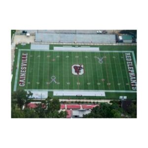 Custom Midfield Logo Endzone Logo Ribbon Stencil Painting Paint