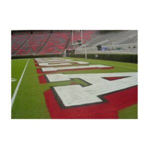 Endzone Football Custom Stencil.