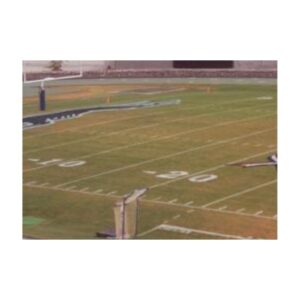 Football Field Custom Endzone Logo Stencil.
