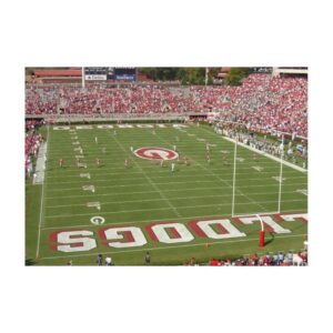 Stencil College End Zone Stencil Paint.