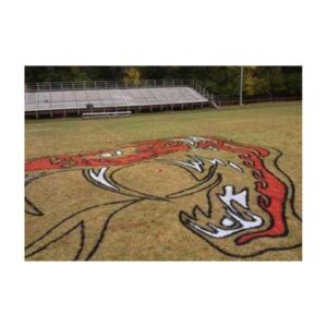 Spray Painting Colors On Football Logo Stencils.