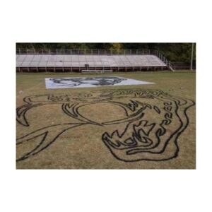 Connect Dots With Aerosol Paint Custom Made Football Field Logo.