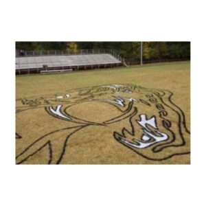 Paint Colors Of Midfield Football Field Logo Stencil.