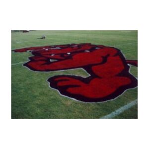 Midfield Bulldog Stencil Done With Ussc Aerosol Paint And Stencil.