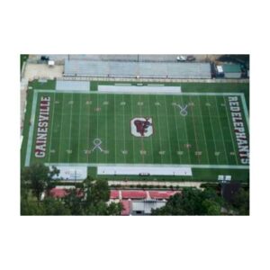 Painting Mid Field Enzone Logo Mascot Stencils Football Fields