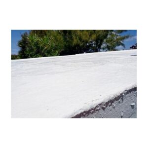 Formulated To Protect Beautify Waterproof Roofs