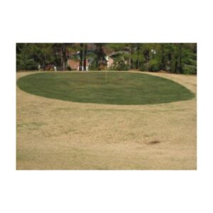 Golf Course Driving Range Green Grass Colorant.