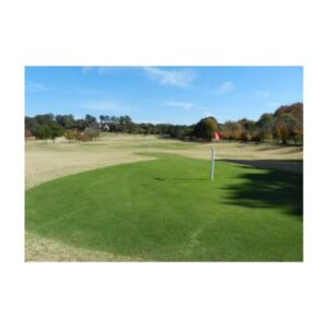 Golf Course Green Paint Colorant Dye Putting Green.
