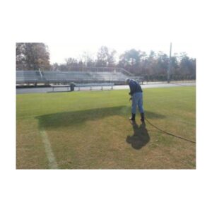 Green Colorant To Paint Natural Grass.