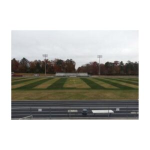 Green Dye To Color Dormant Brown Grass For Football Field.