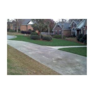 Green Grass Turf Grass Dye Paint Colorant For Home Lawns.