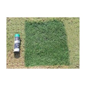Green Paint For Natural Grass Synthetic Field Turf.