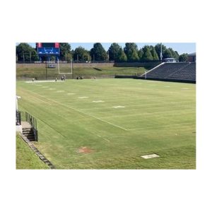 Green Pigment Turf Dyes Colorant Paint For Natural Grass