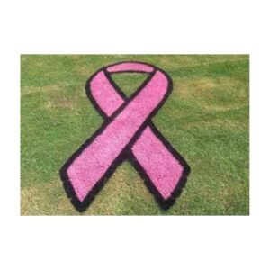 Home Yard Lawn Grass Cancer Awareness Stencil Pink Paint.