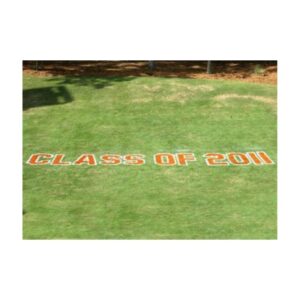 Graduation Banners Slogans Messages Painted Stencil On Grass Turf.