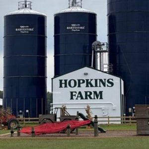 custom stencil and right paint for painting logos names mascot on vertical surfaces.